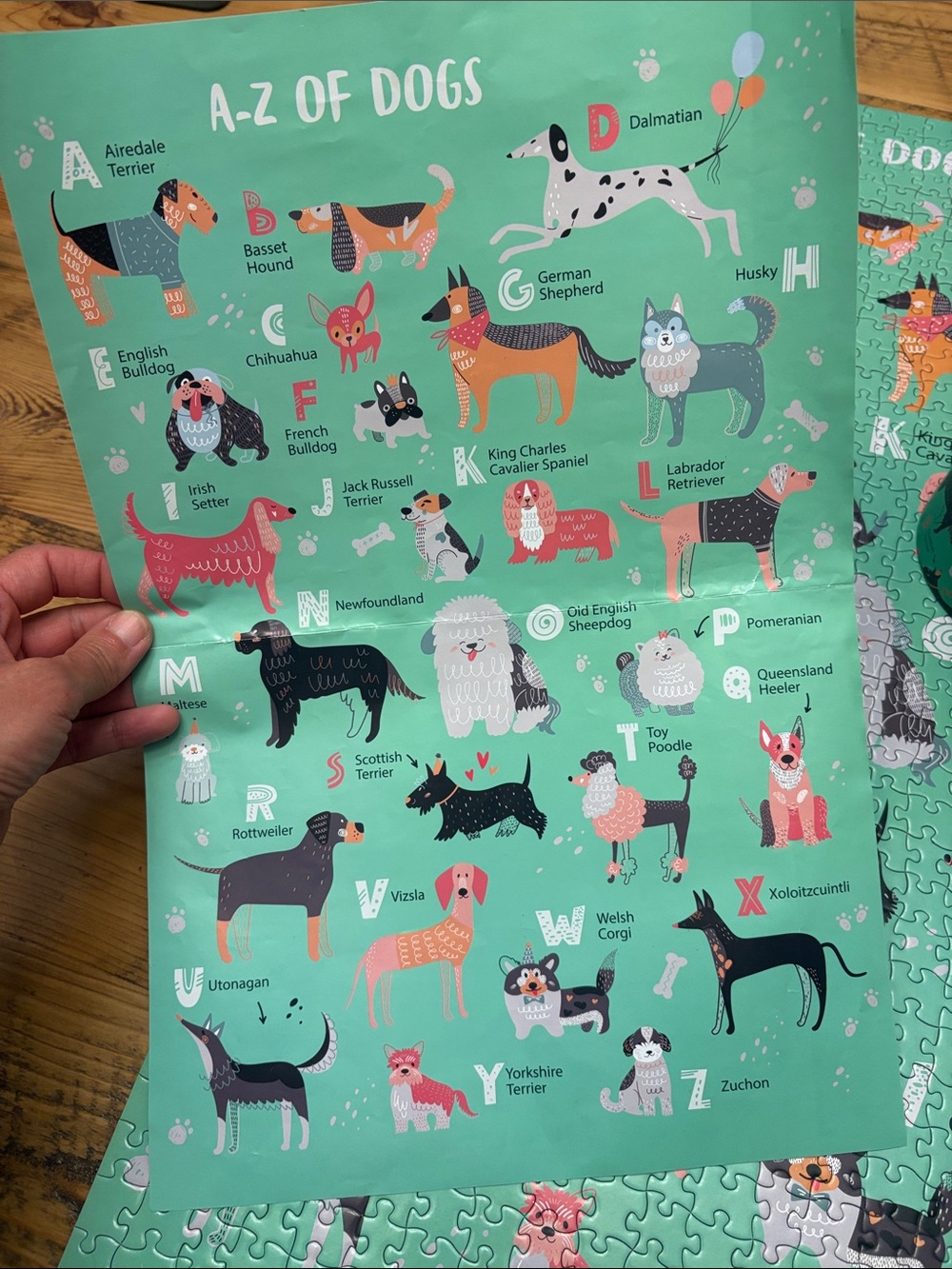 A-Z of Dogs Kids Puzzle - Green Illustrated Dog Alphabet - Picture 4 of 6